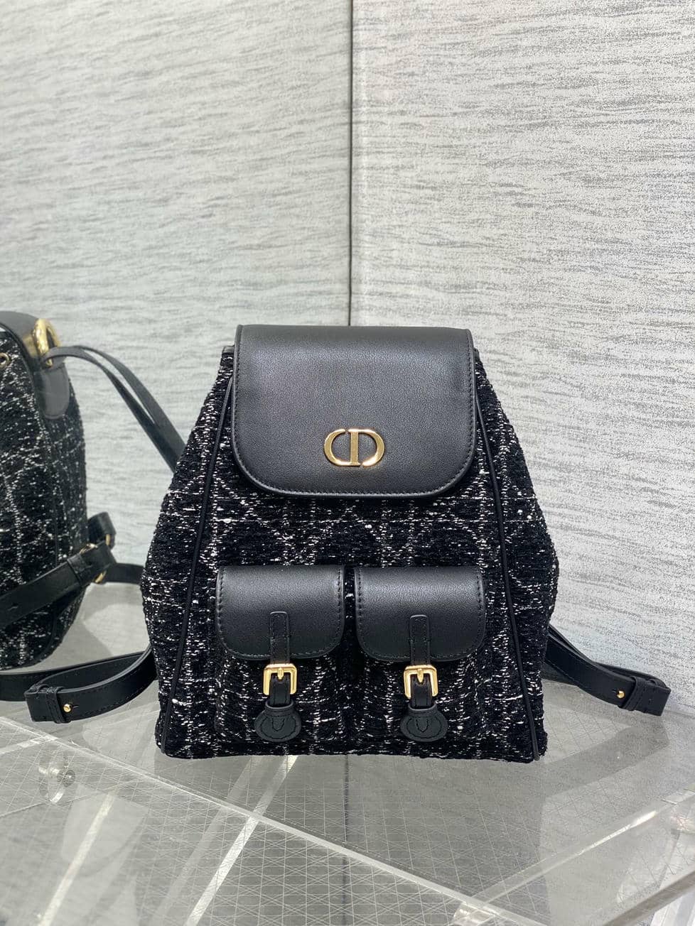 Backpack 0013